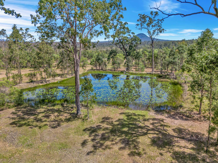 Click to view all images 200 Sunnyside Road Calamia NSW 2460 - Image 1