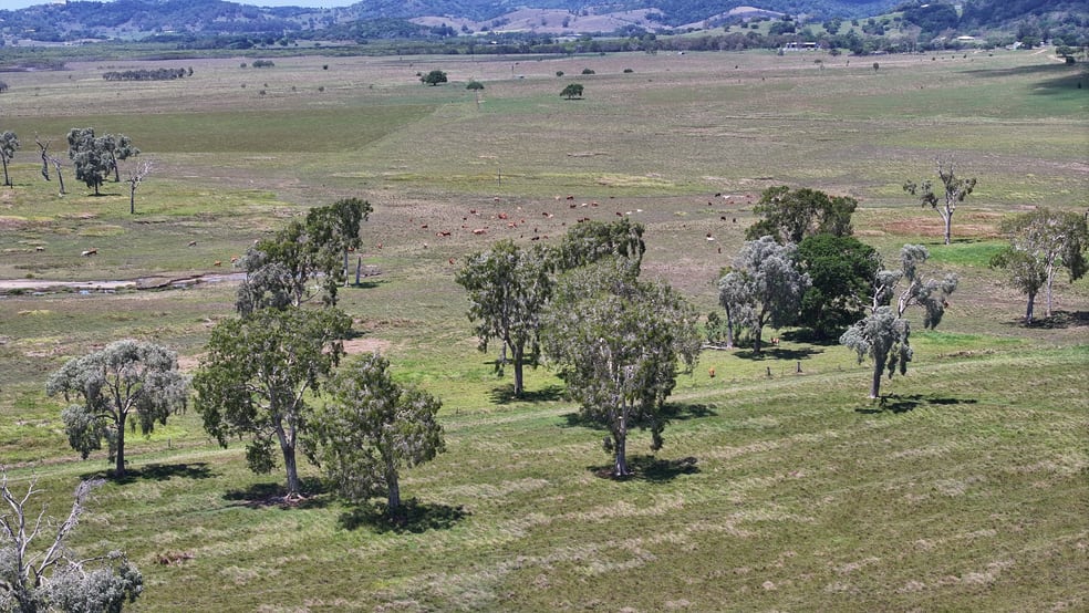 Click to view all images 54 Sants Road Habana QLD 4740 - Image 3