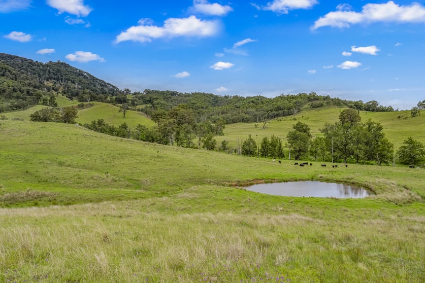 Carrowbrook Road Mount Olive Singleton NSW 2330 - Image 1