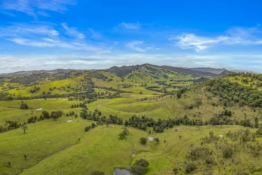 Carrowbrook Road Mount Olive Singleton NSW 2330 - Image 3