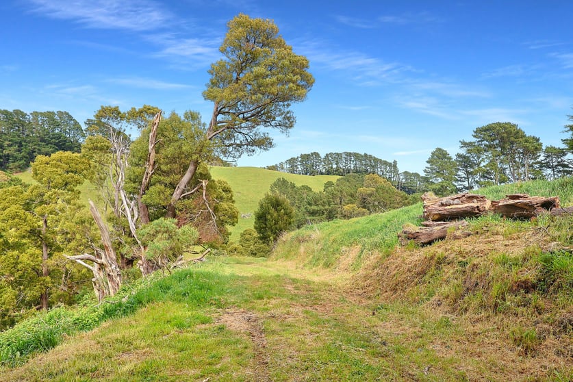 Click to view all images Lot 1 Yarragon Leongatha Road Yarragon VIC 3823 - Image 2