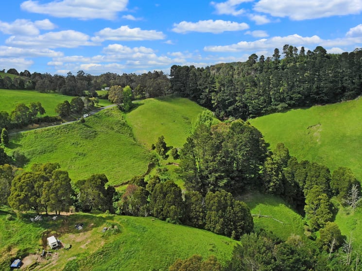 Click to view all images Lot 1 Yarragon Leongatha Road Yarragon VIC 3823 - Image 3