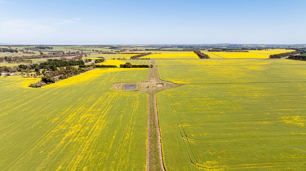 2320 Princes Highway Winchelsea VIC 3241 - Image 3
