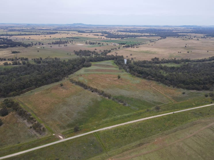 Click to view all images 303 North Condobolin Road Warroo NSW 2871 - Image 3