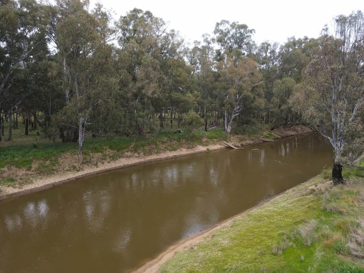 Click to view all images 303 North Condobolin Road Warroo NSW 2871 - Image 1