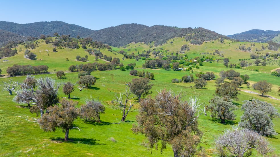 Click to view all images Lot 3 Miller Road Staghorn Flat VIC 3691 - Image 2