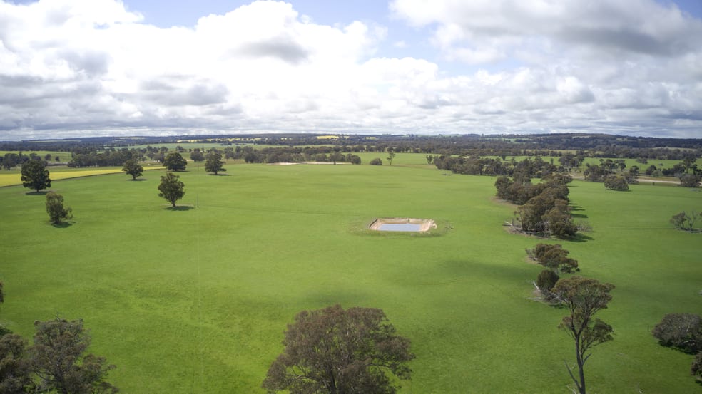 330 Furniss Loop Mobrup WA 6395 - Image 1