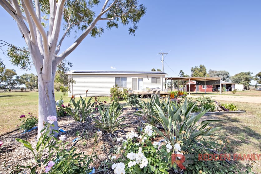 211L Mogriguy Road Eumungerie NSW 2822 - Image 1