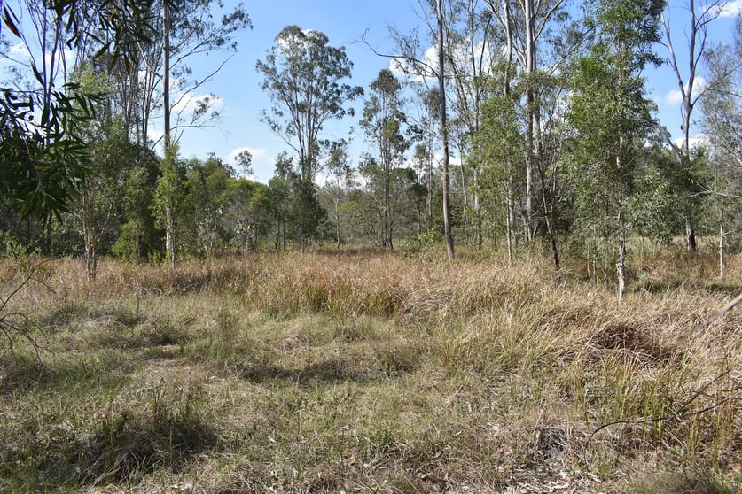 Click to view all images Lot 1 Glenbar Road Tiaro QLD 4650 - Image 2