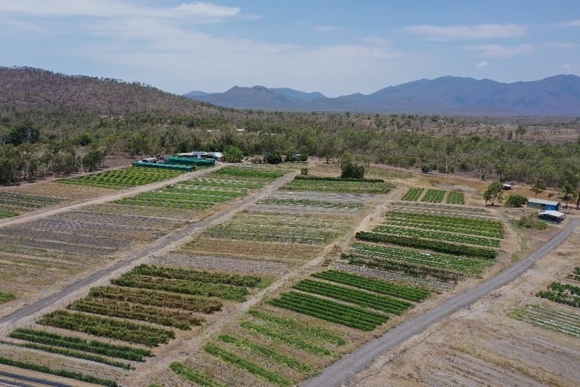 Click to view all images 1 Greta Road Oak Valley QLD 4811 - Image 2