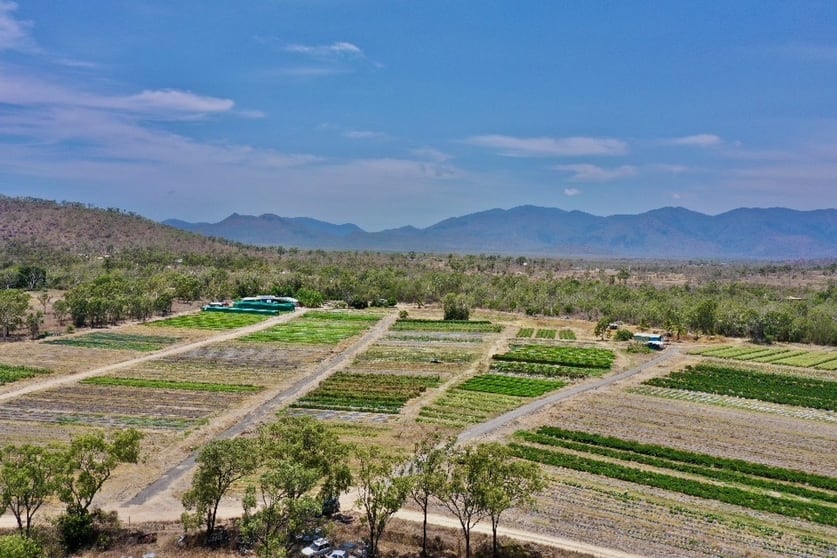 Click to view all images 1 Greta Road Oak Valley QLD 4811 - Image 3