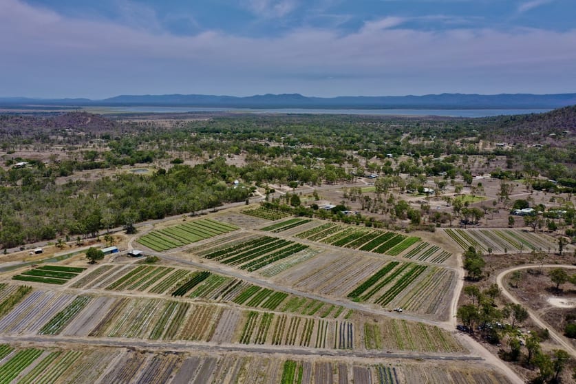 Click to view all images 1 Greta Road Oak Valley QLD 4811 - Image 1