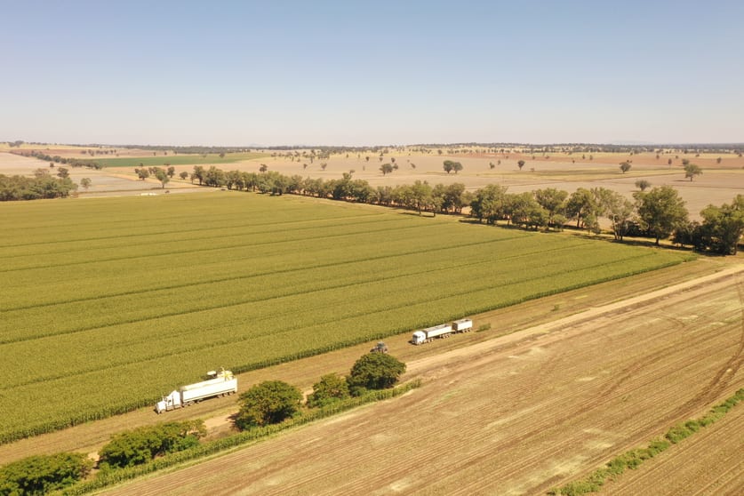 Click to view all images 69 Ercildoune Lane South Forbes NSW 2871 - Image 1