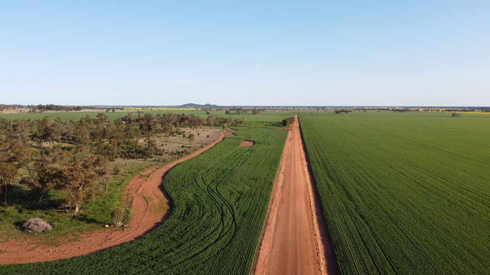 Wirrinya NSW 2871 - Image 3
