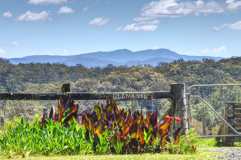 Click to view all images Dorrigo NSW 2453 - Image 1