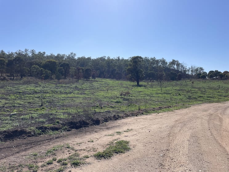 Click to view all images 3988 FLAGSTAFF ROAD Taroom QLD 4420 - Image 3