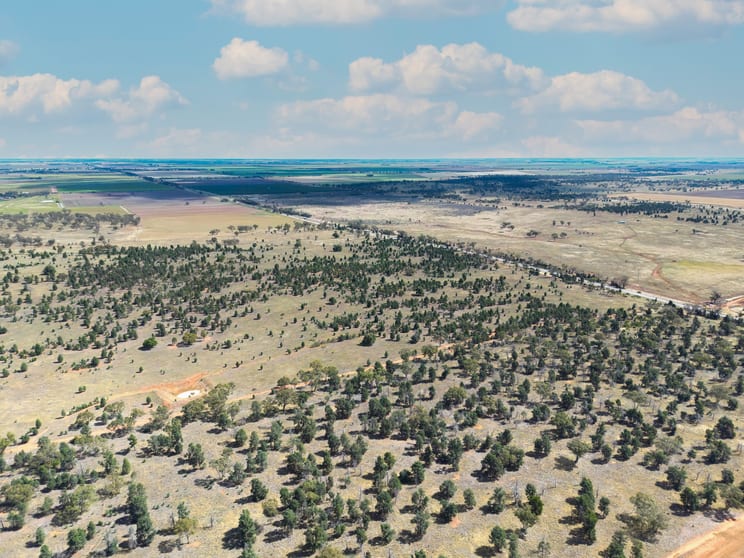 Click to view all images Lot 80 & 81 Yarmwal Road Murrami NSW 2705 - Image 2