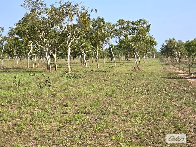 205 Dorat Road Adelaide River NT 0846 - Image 2