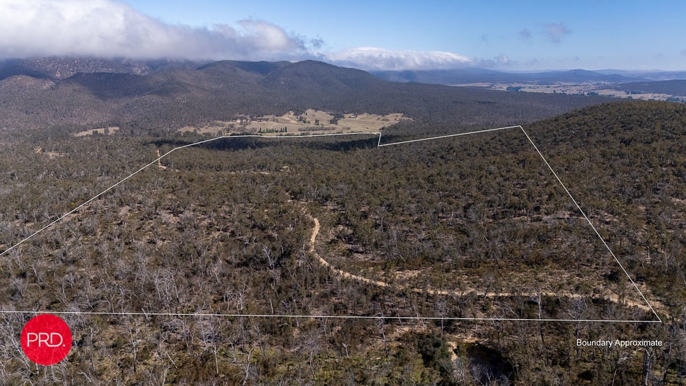 Click to view all images 388 Peak View Rd Numeralla NSW 2630 - Image 3