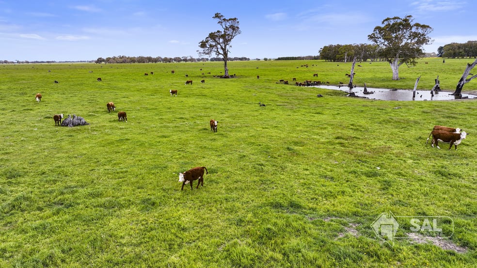 Click to view all images Lot/175 Wood Road Wepar SA 5278 - Image 2