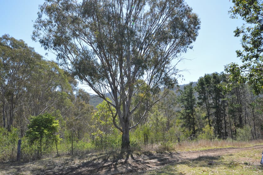 Click to view all images 1920 Inverramsay Road Goomburra QLD 4362 - Image 3