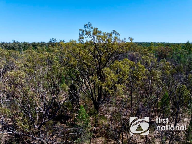 Click to view all images Community Lane Goranba QLD 4421 - Image 3