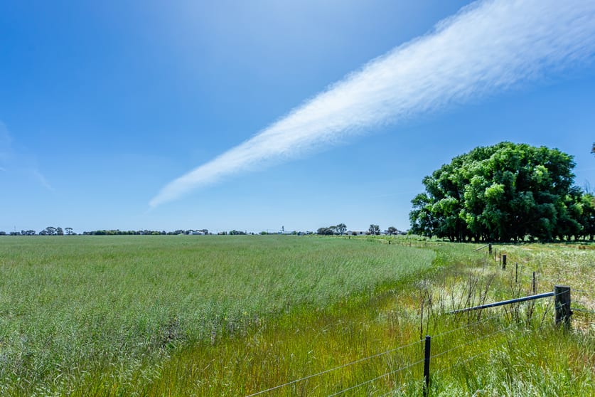 29 Moyhall Road Naracoorte SA 5271 - Image 1