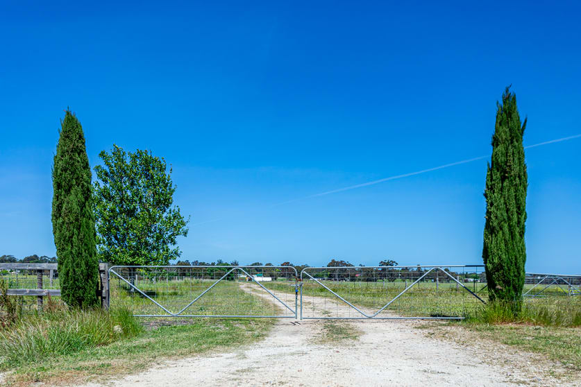 29 Moyhall Road Naracoorte SA 5271 - Image 3