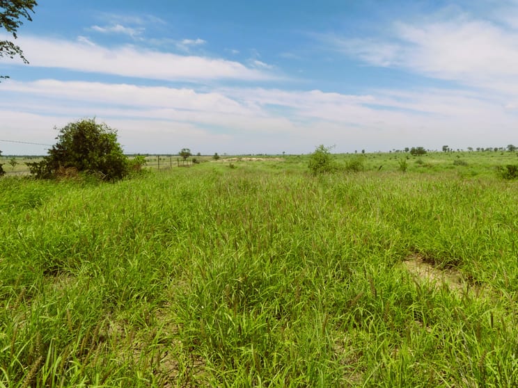 Surat QLD 4417 - Image 1