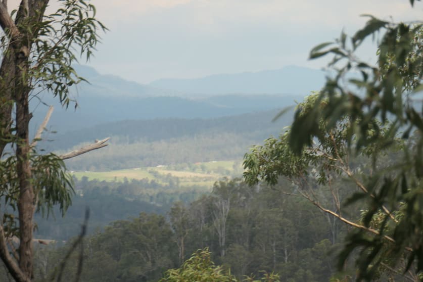 335 Sugarbag Rd (east ) Tabulam NSW 2469 - Image 2