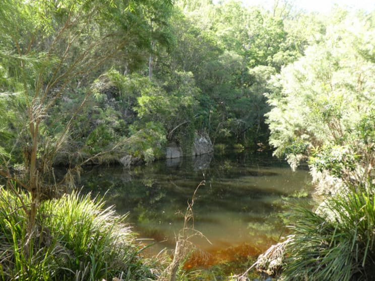 335 Sugarbag Rd (east ) Tabulam NSW 2469 - Image 3