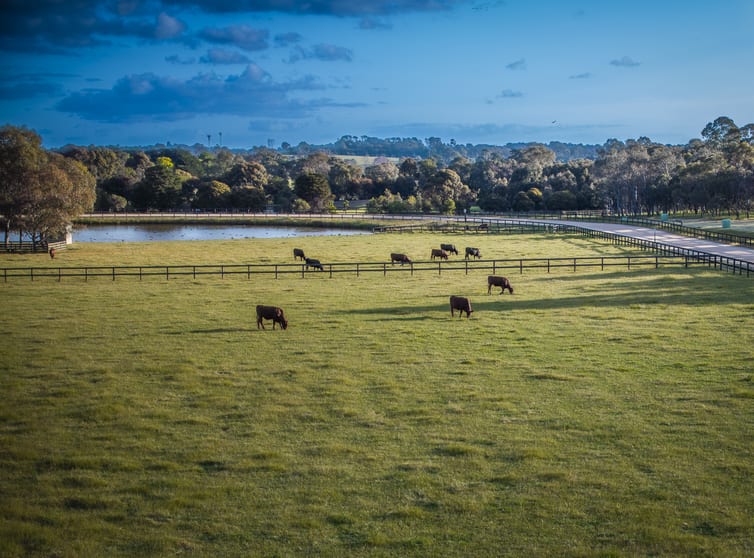 Click to view all images 1415 Arthurs Creek Road Doreen VIC 3754 - Image 2