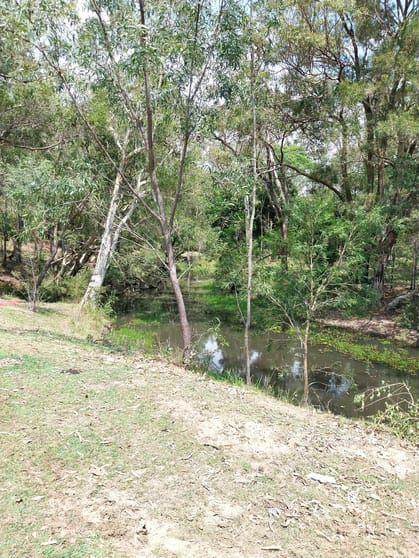 Click to view all images 585 Grass Tree Road Nearum QLD 4671 - Image 1