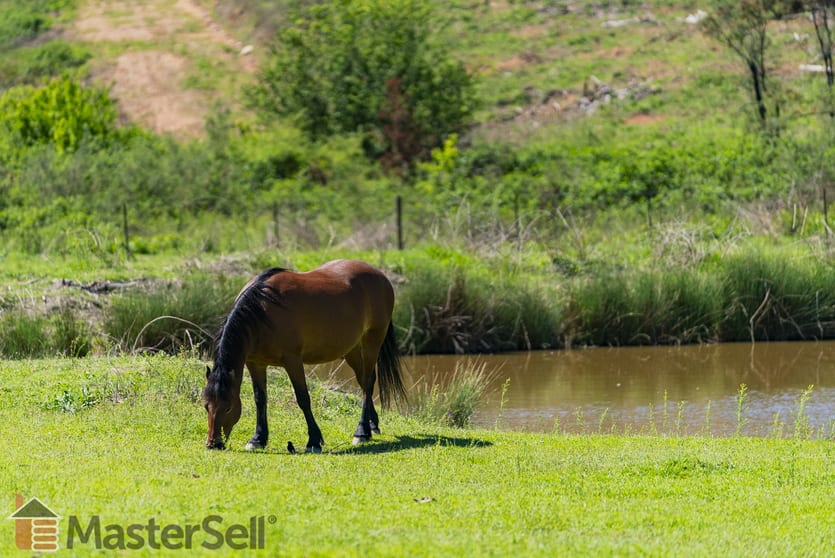 Click to view all images Tumbarumba NSW 2653 - Image 2