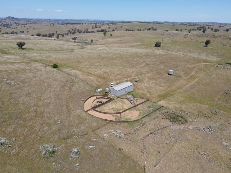 250 Emu Creek Road Canowindra NSW 2804 - Image 2