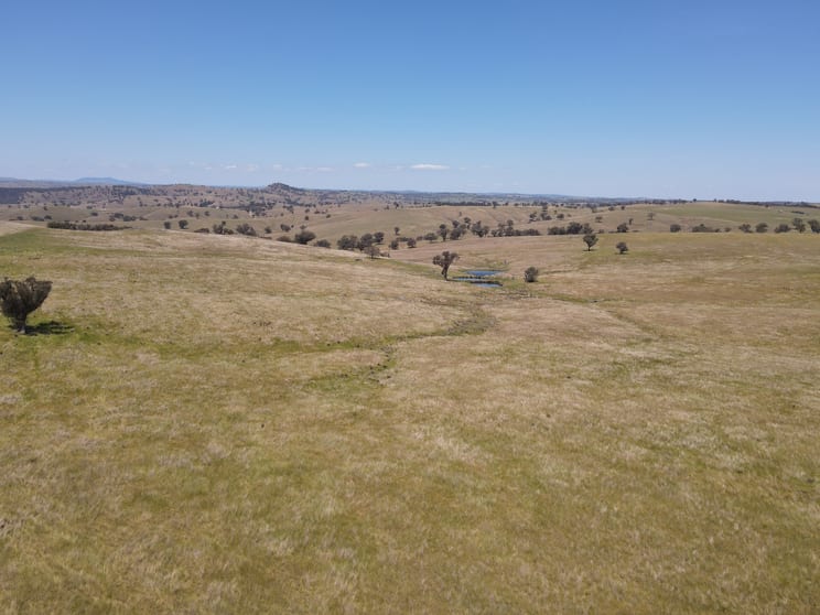 250 Emu Creek Road Canowindra NSW 2804 - Image 3