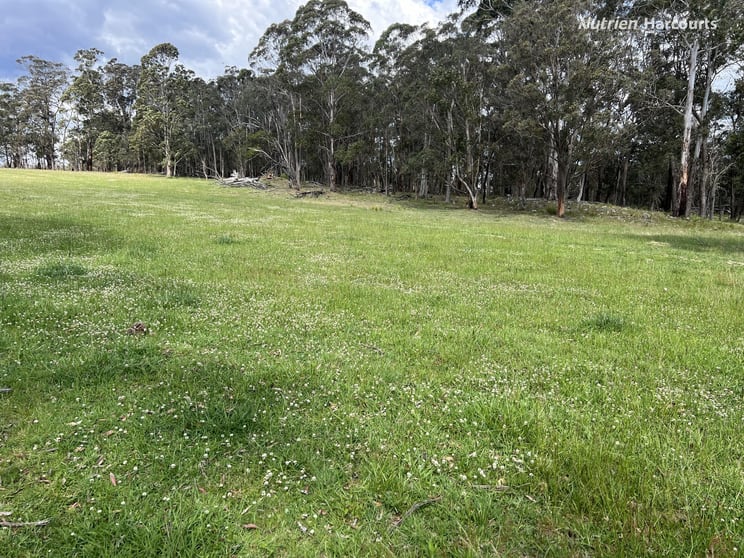 Click to view all images 618 Coopers Road Red Range NSW 2370 - Image 3