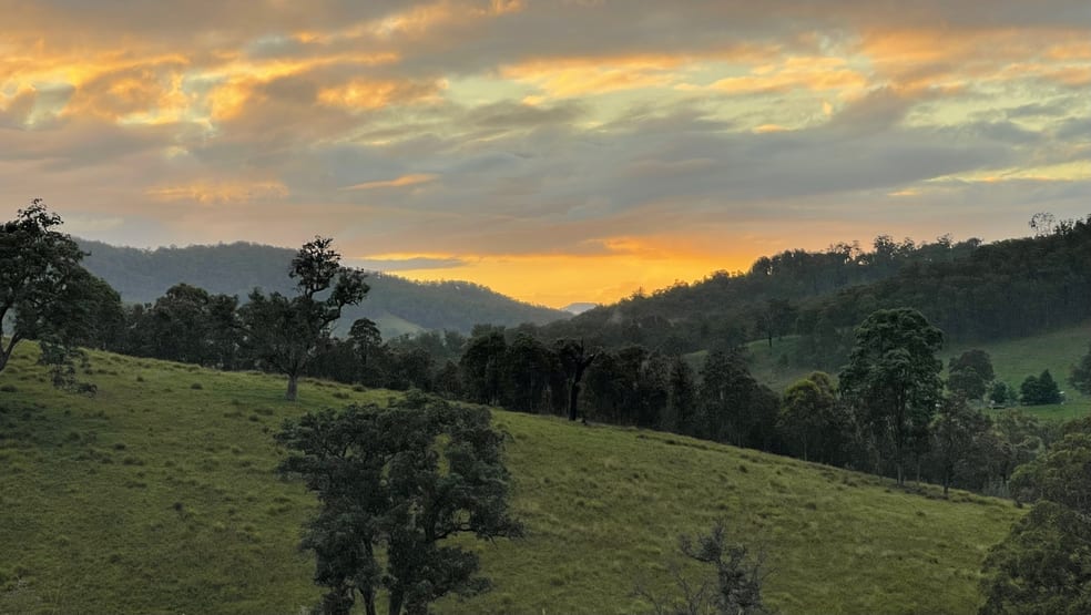 Click to view all images "Bridlevale" 83 Nuggety Gully Rd Nowendoc NSW 2354 - Image 2