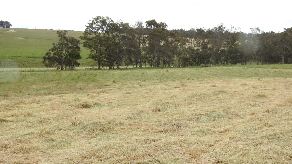 Click to view all images Lot 102 Jindong-Treeton Road Osmington WA 6285 - Image 3