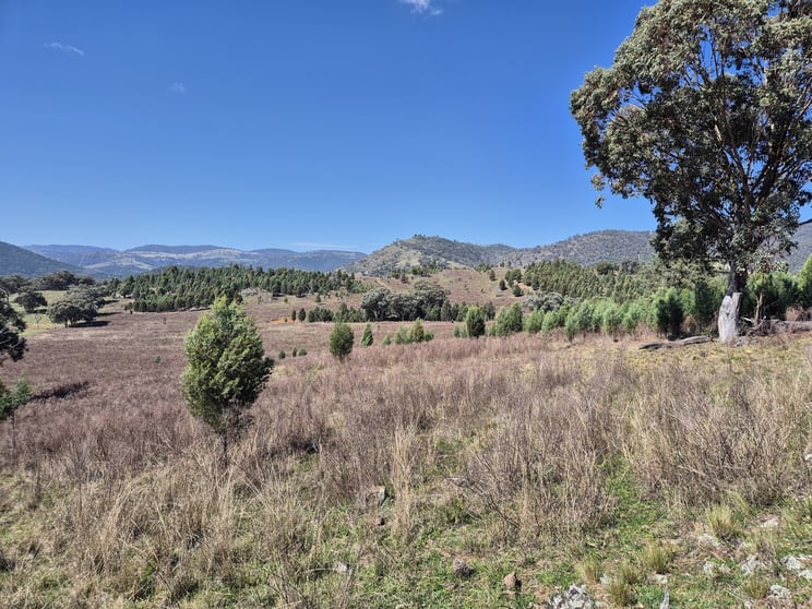 46 Worlds End Rd Yarrabin NSW 2850 - Image 1
