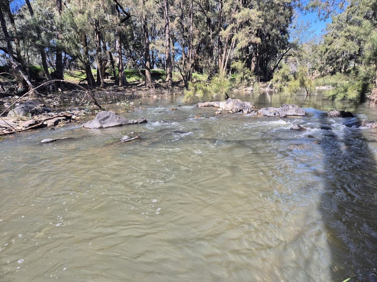 46 Worlds End Rd Yarrabin NSW 2850 - Image 3