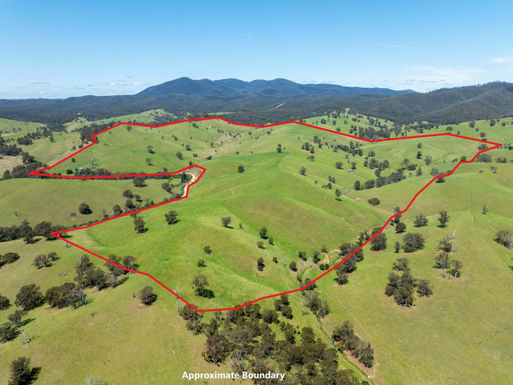 Click to view all images 244 Buchan Ensay Road Reedy Flat VIC 3895 - Image 1