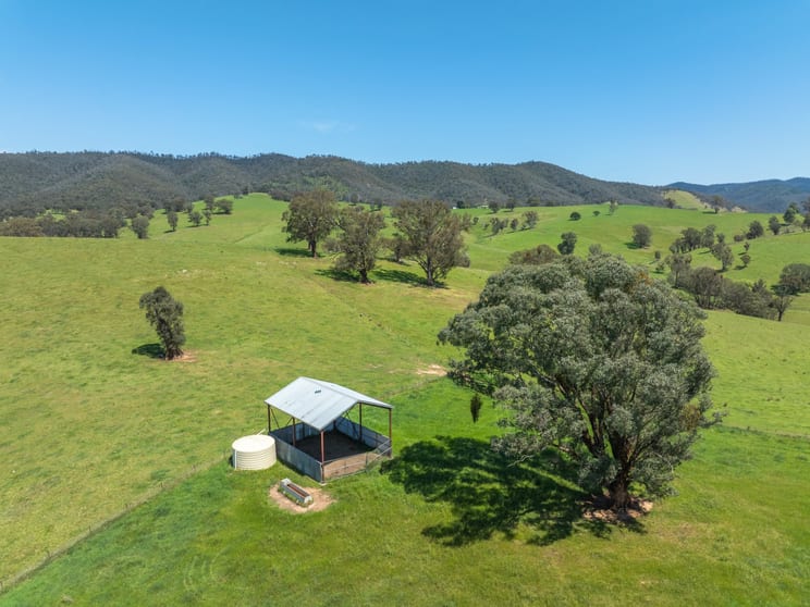 Click to view all images 244 Buchan Ensay Road Reedy Flat VIC 3895 - Image 2