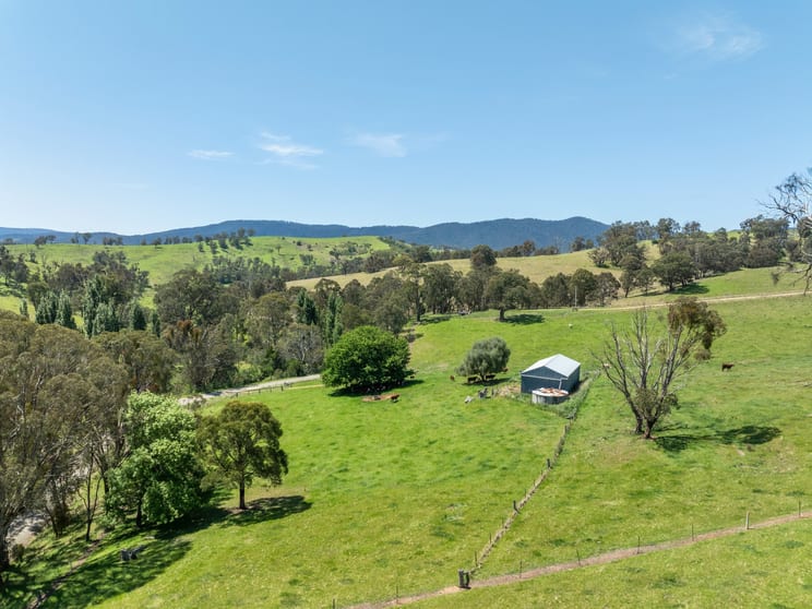 Click to view all images 244 Buchan Ensay Road Reedy Flat VIC 3895 - Image 3