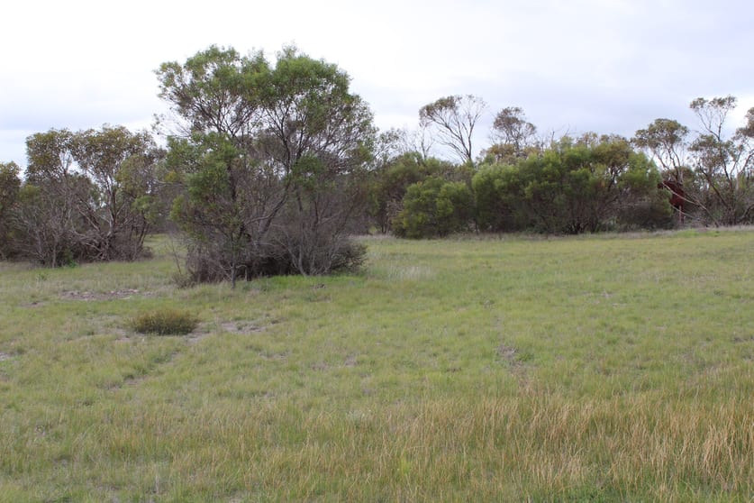 61 Blue Vista Hopetoun WA 6348 - Image 2