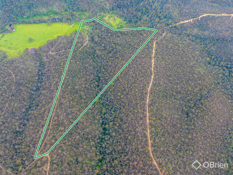 Click to view all images 234 Timbarra Settlement Road Buchan VIC 3885 - Image 2