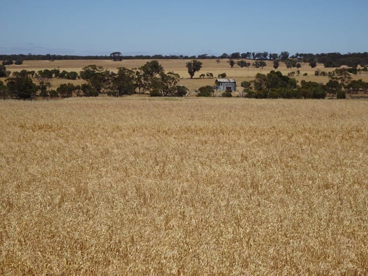 Click to view all images Bolts Road Wagin WA 6315 - Image 1