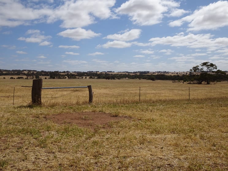 Click to view all images Bolts Road Wagin WA 6315 - Image 2