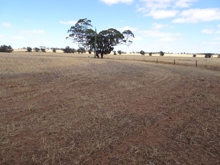 Click to view all images Bolts Road Wagin WA 6315 - Image 3