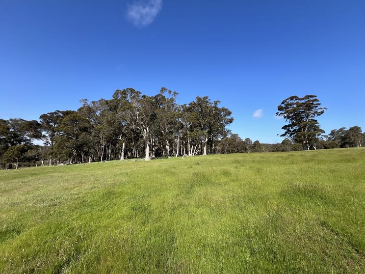 Click to view all images 173 Walter Road Scotsdale WA 6333 - Image 2